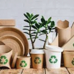 Sustainable Packaging