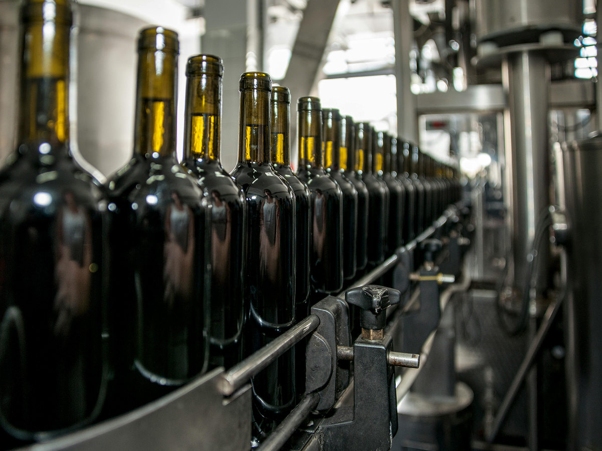 Bottles in filling machine